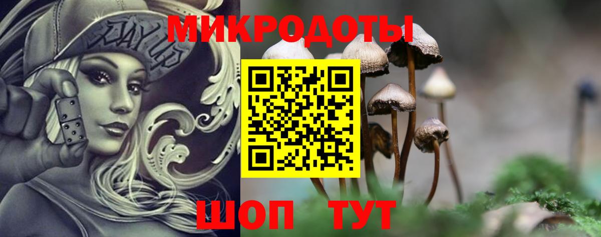 Галлюциногенные грибы Psilocybine cubensis Крымск